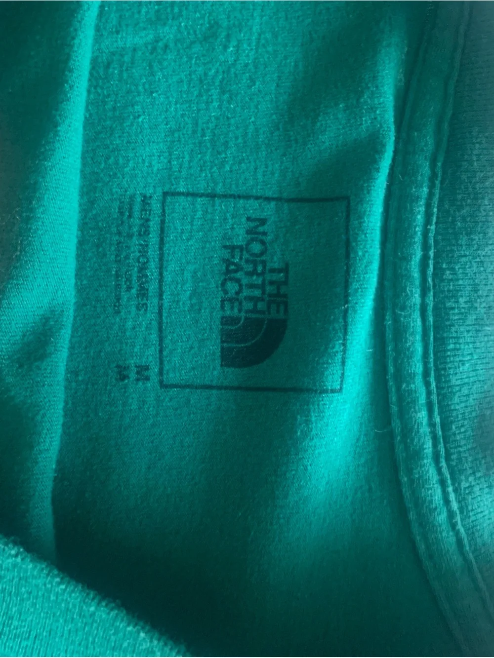 The North Face Teal Graphic Logo men’s medium
